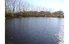 Property photo 1 - 24.8 Acre Absolute Real Estate Auction - Tillable Land with Pond and Woods